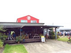 ݂̂Ƃӂ̔Âւ̓eʐ^1