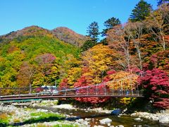 yu]cyan̉̌قւ̓eʐ^1