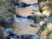 ւ񂳂̖HR̃~W̓eʐ^1