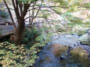 ւ񂳂̖HR̃~W̓eʐ^3