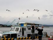 Ƃ񂳂̊όD܂Â̓eʐ^2