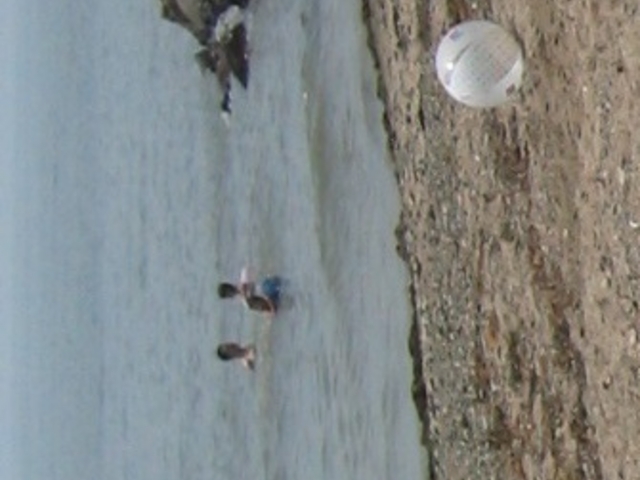 Ђł񂳂̐ԕ䓂DTr[`̓eʐ^1