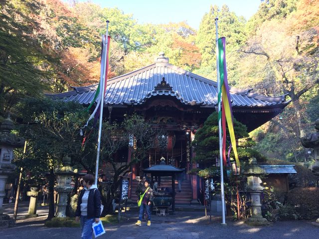 �{��_���V�ω�