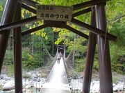 ߋT|~̊`kJ̓eʐ^3