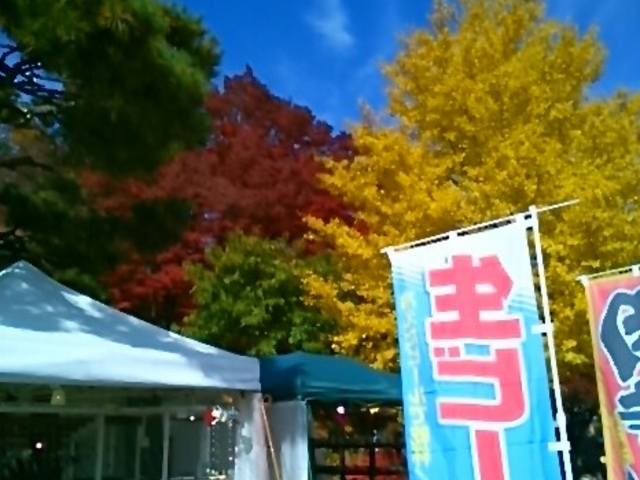 �w���݂���L�̍g�t�x�B_�͌��Έ��