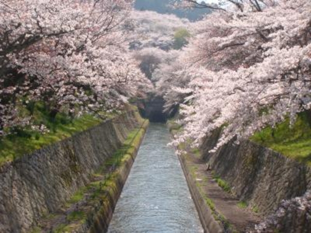 ���i�Α`���̍�_���i�Α`���̍�