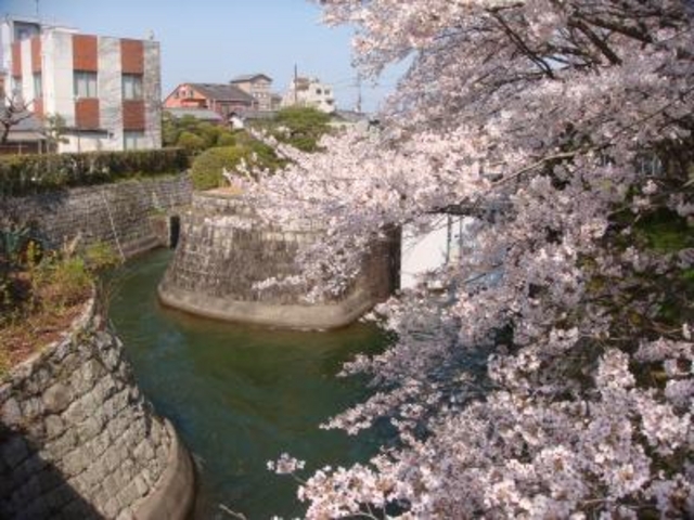 ���i�Α`���̍�_���i�Α`���̍�