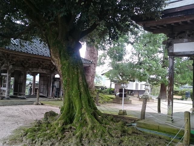 ��掛�i�������j