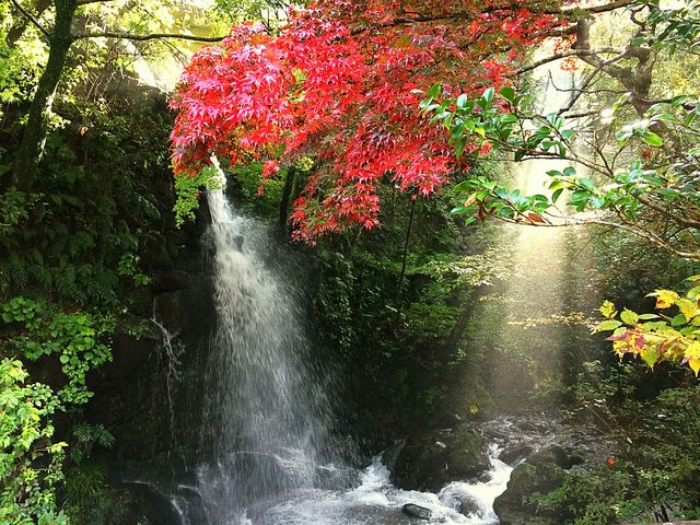 ���t�����@