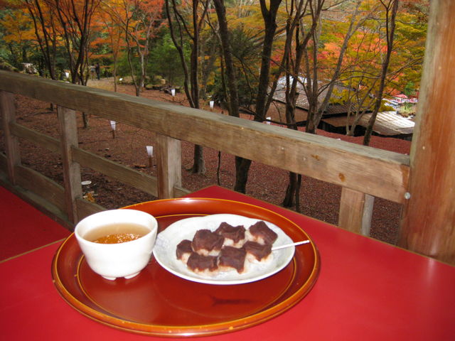 É߂ԂȂ̂ŁA؂ƒ܂_Β