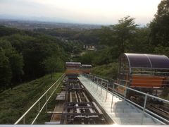 neko܂̂܂ǂ̍ւ̓eʐ^2