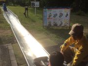 neko܂̂܂ǂ̍̓eʐ^3