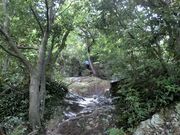 ܂܂ς񂾂̎ORiߍ]xmj̓eʐ^1