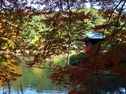 BK����̒���������̓��e�ʐ^1