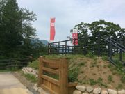 neko܂̖ӓ隬̓eʐ^3