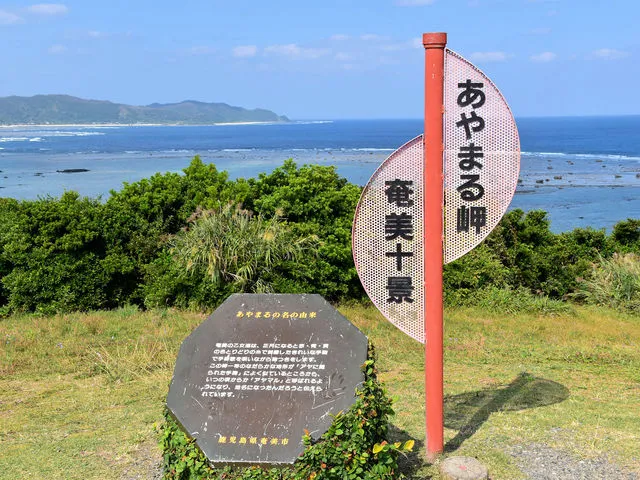 あやまる岬観光公園から望むサンゴ礁の海