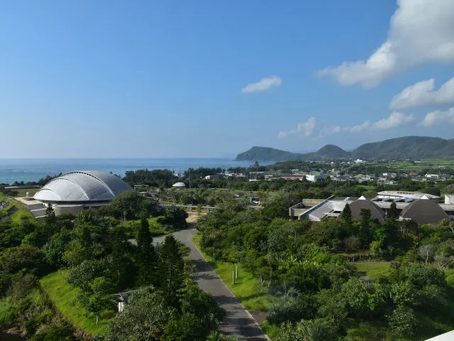 大島紬の泥染め体験と織りの工程