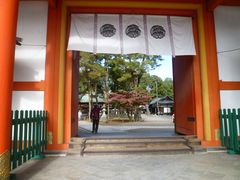 ߋT|~̍{_Ђւ̓eʐ^1