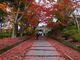 ニコちゃんさんの毘沙門堂（京都府京都市）の投稿写真1