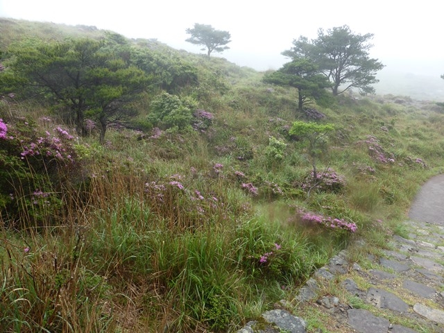 ���͗ǂ���������Ă��܂��B_�r���莩�R�T���H