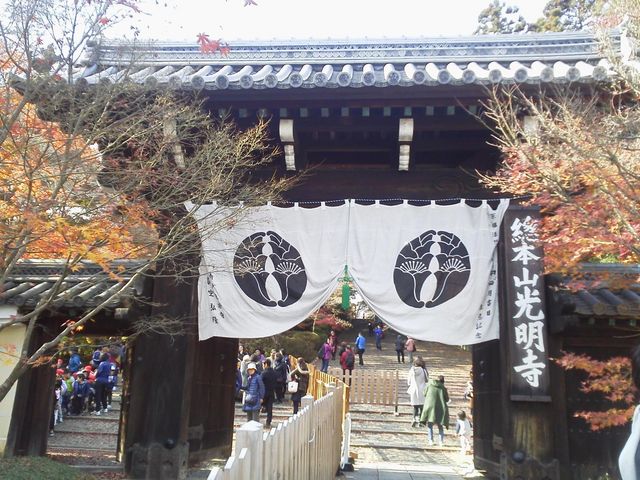 ���h�Ȗ�\��(p_-)_�������̂��݂�