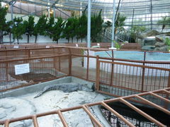 ���l����̔M��o�i�i���j���ւ̓��e�ʐ^3