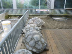 ���l����̔M��o�i�i���j���ւ̓��e�ʐ^4