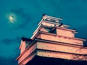 ݁[񂳂̎ᏼVt̓eʐ^1