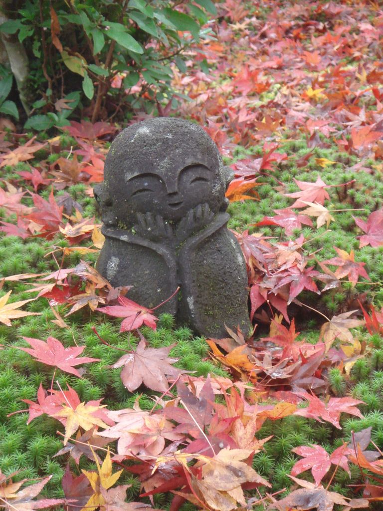 JC圓光 