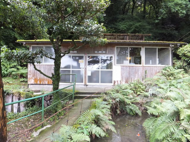 ��̂����C�����铒��_���������@��������