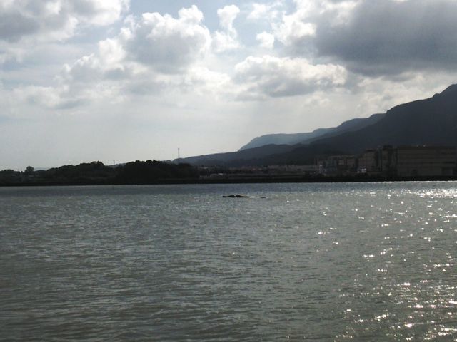 Ol̈ɖpJugKj̊ق̓eʐ^2