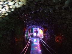 񂿂񂳂̒|t@^W[قւ̓eʐ^1