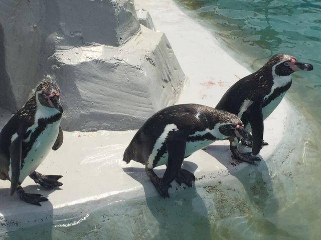 �y���M����������_��m���r�[�`�����h&��m���������ቤ��