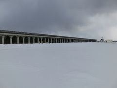 [񂳂̒t`khgh[ւ̓eʐ^1