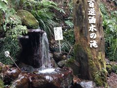 �q������̎𐅂̑�ւ̓��e�ʐ^1