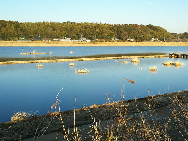 �~�̈�׏�_�I�����_���ԃ��[�t�f