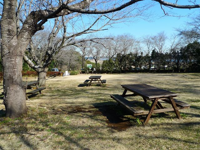 �x�e�p�̈֎q�ƃe�[�u��_��׏�����