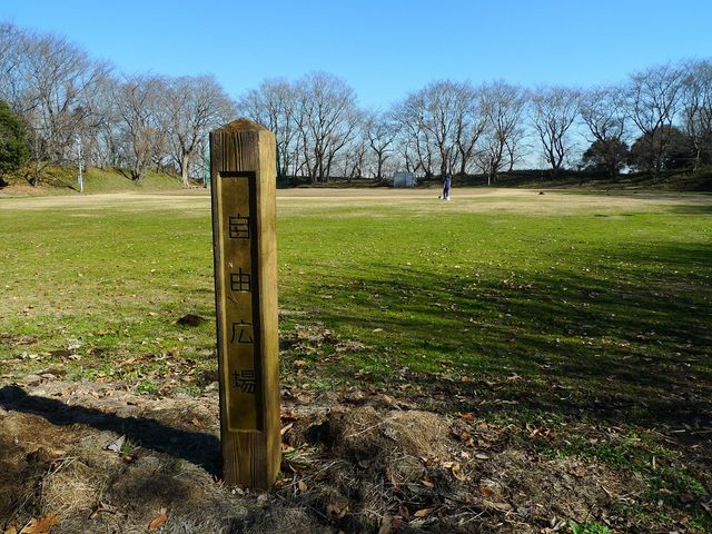 ���R�L��_��׏�����