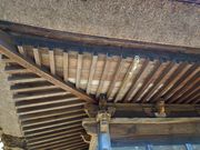 �g�N�T������̐򕟎���t���̓��e�ʐ^5