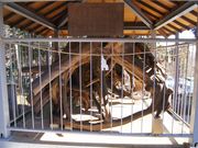 5525����̔����_�Ђ̓��e�ʐ^3