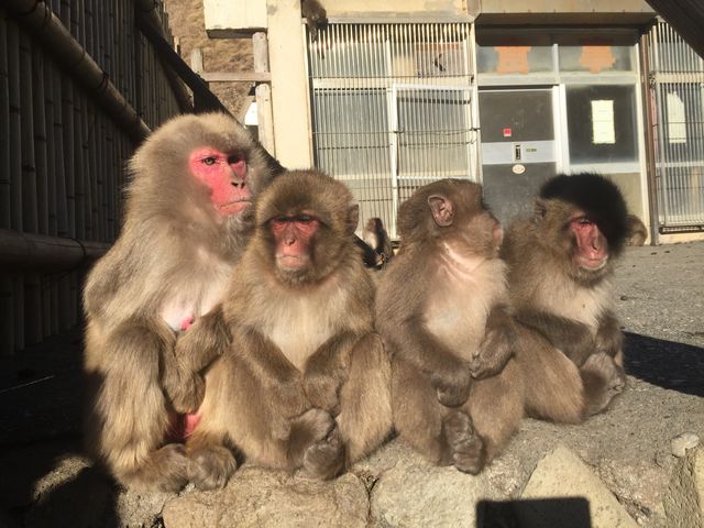 ĕŁAL[głB_g胂L[xC