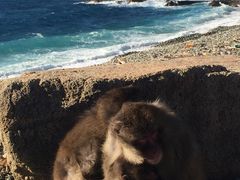 [񂳂̔g胂L[xCւ̓eʐ^1