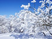 nukunuku̖ȌR̓eʐ^1