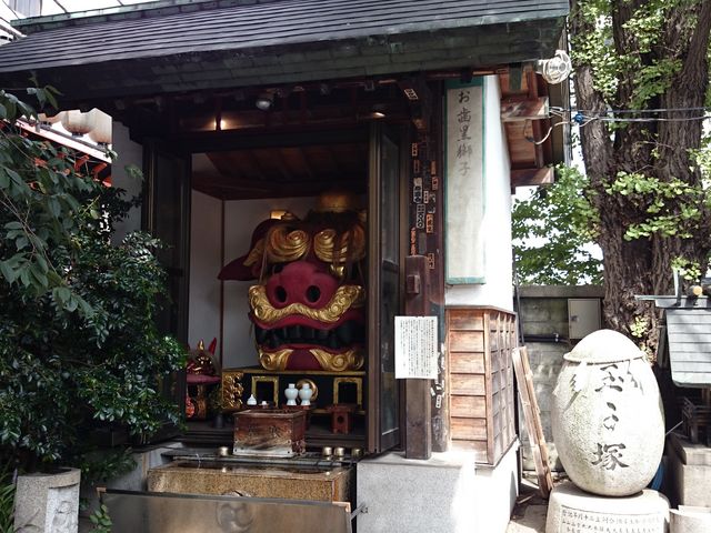 ���������q�Ƌʎq��_�z�n�E�g���_��