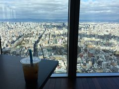 Ȃ̃nJX300ւ̓eʐ^1