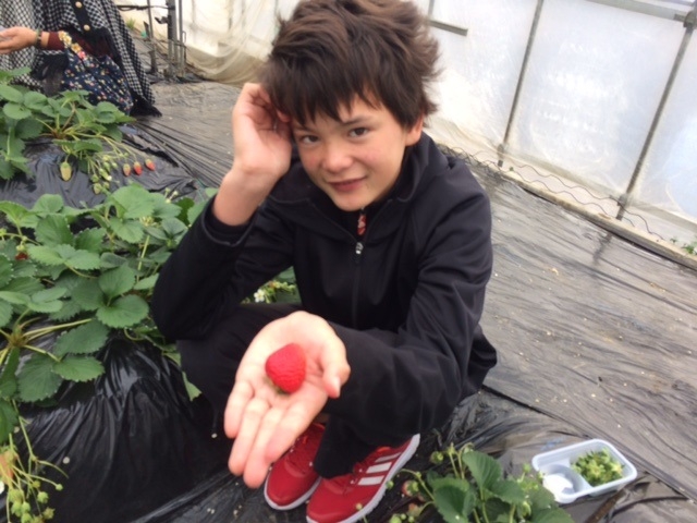 �������ȃC�`�S_�������t�@�~���[�_��