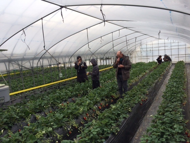 �݂�Ȗ����ł���_�������t�@�~���[�_��