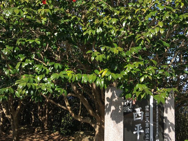 ���������_�����֌���