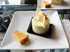 CJ񂳂̃@~[@hD@AbVւ̓eʐ^1