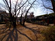 yellowtail̏w̓eʐ^3